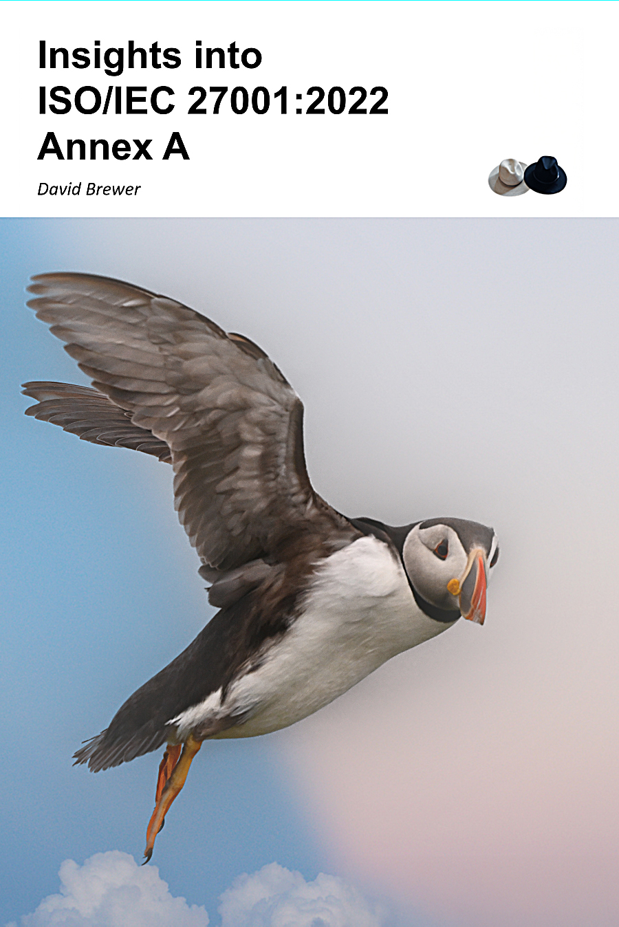 Book cover for Insights into ISO/IEC 27001:2022 Annex A by David Brewer